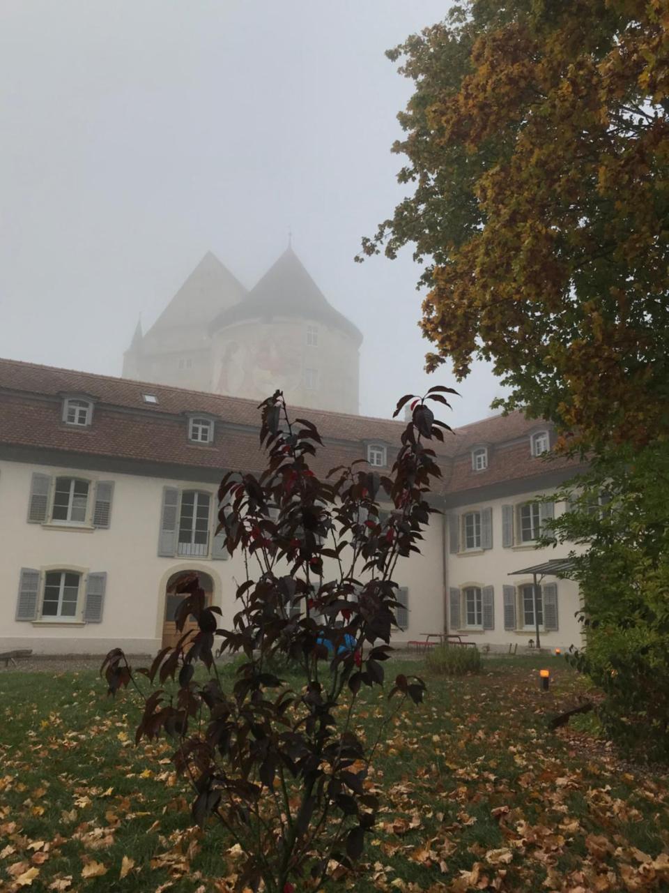 Manoir De La Cote-Dieu Порентруи Екстериор снимка